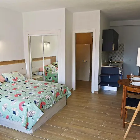 Apartment Paraiso Del Sur Costa Adeje (Tenerife)